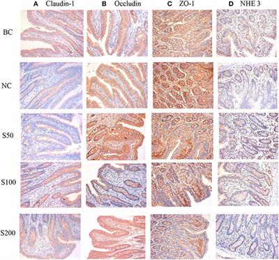 Effects of Guava (Psidium guajava L.) Leaf Extract on the Metabolomics of Serum and Feces in Weaned Piglets Challenged by Escherichia coli